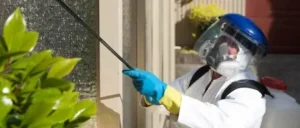 أفضل شركة مكافحة قوارض وحشرات وتعقيم الكويت