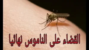 مكافحة الناموس والبعوض