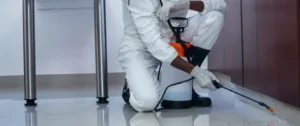 افضل شركة رش حشرات وقوارض في الكويت