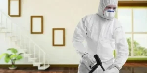 افضل شركة مكافحة ورش الحشرات في الكويت