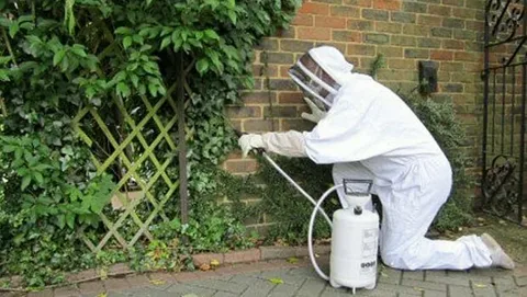  شركة لمكافحة الفئران في الكويت