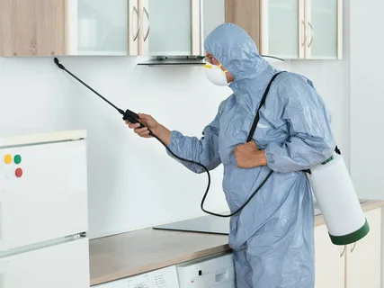 افضل شركة مكافحة حشرات بالكويت