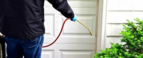 شركة حشرات صباح السالم