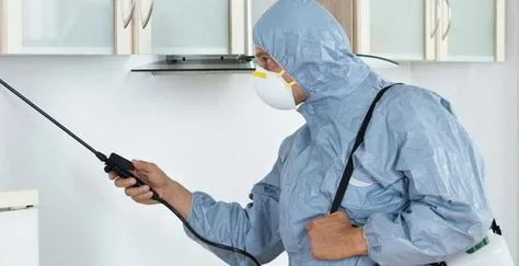 شركة حشرات فهد الاحمد