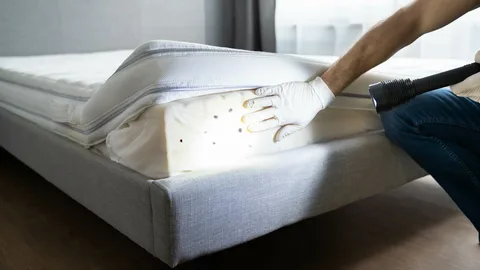 شركة مبيدات حشرية