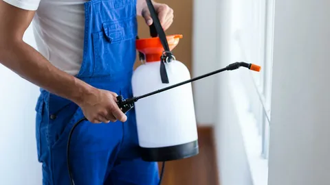 شركة مبيدات حشرية