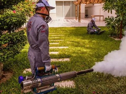 مكافحة النحل الكويت