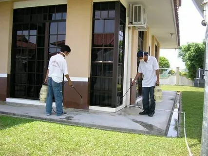 مكافحة حشرات النباتات المنزلية بالشامية