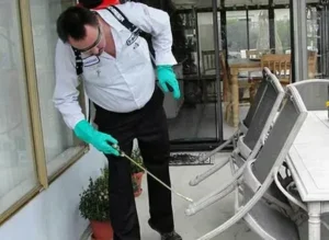 شركة مكافحة حشرات بالكويت