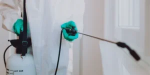 مكافحة الحشرات بالكويت