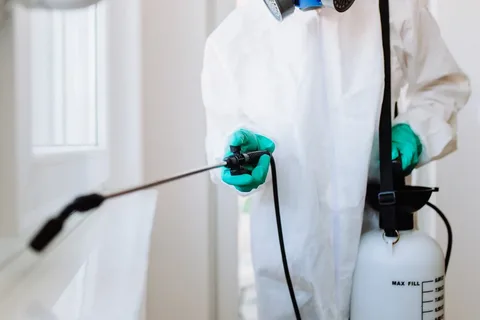 رقم شركة مكافحة حشرات الكويت