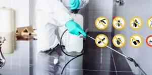 شركة مكافحة حشرات الكويت